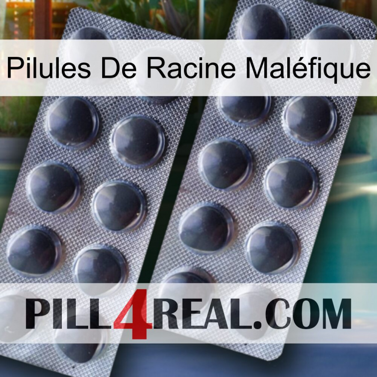 Pilules De Racine Maléfique 31